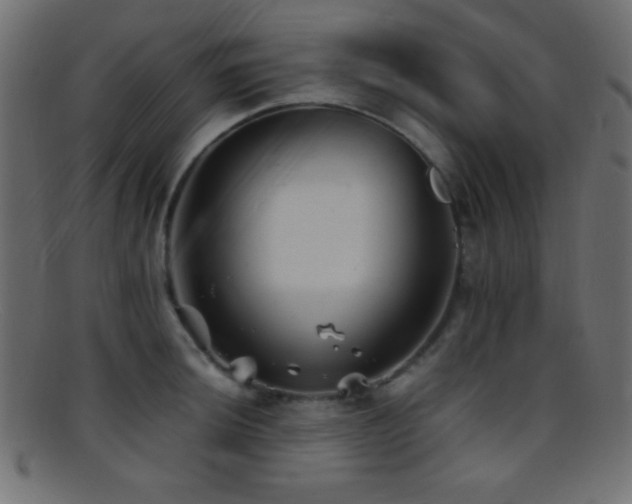 X0000095691044200801081244