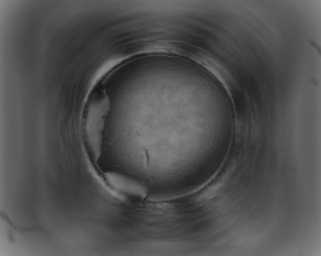 X0000095691045200801081244