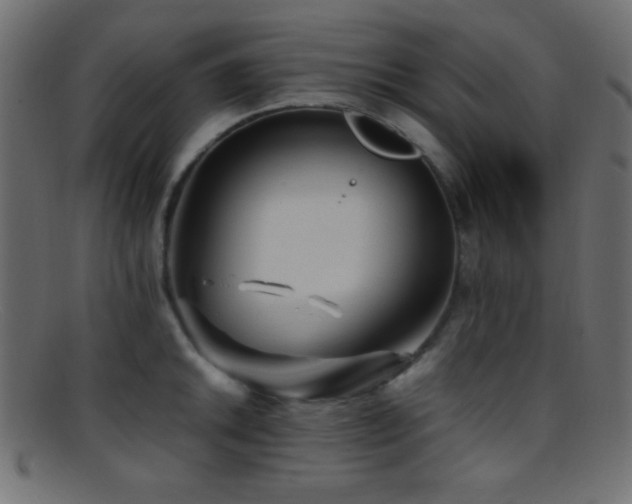 X0000095691046200801081244