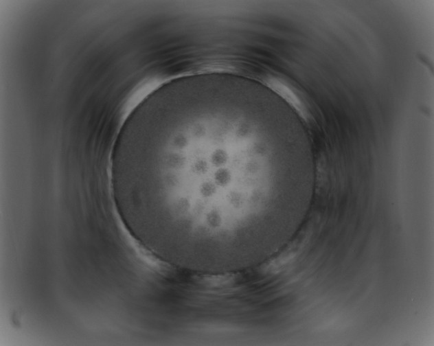 X0000095691047200801081244