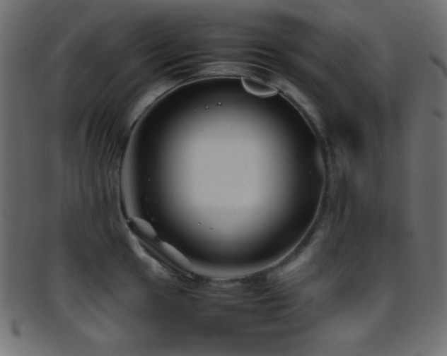 X0000095691049200801081244