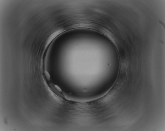 X0000095691050200801081244