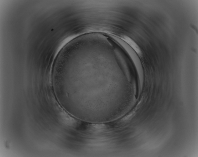 X0000095691052200801081244