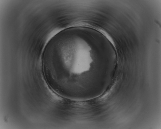 X0000095691053200801081244