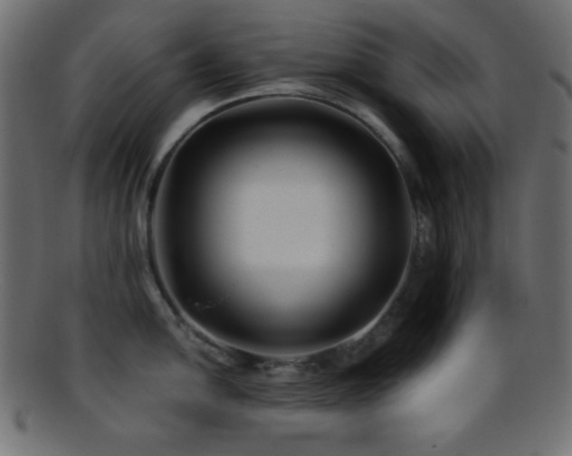 X0000095691054200801081244