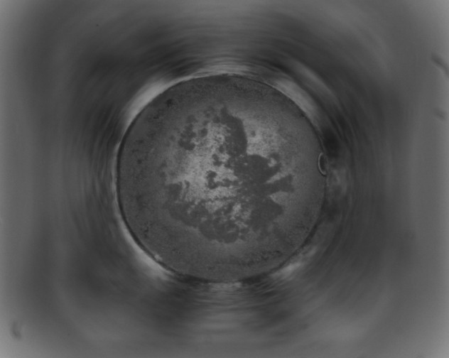 X0000095691055200801081244