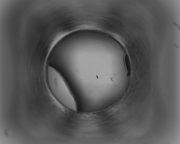 X0000095691056200801081244