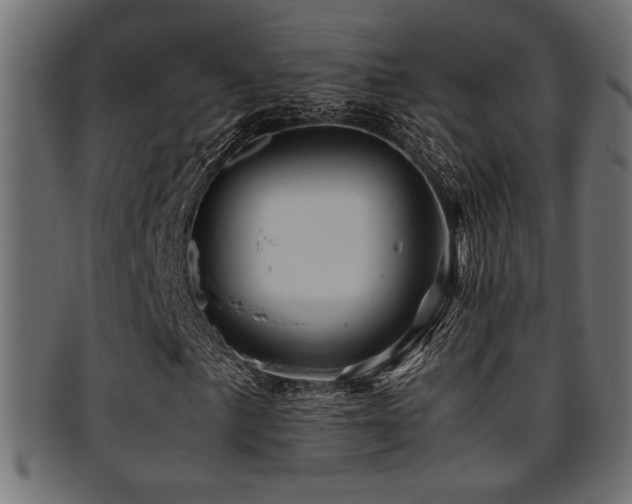 X0000095691057200801081243