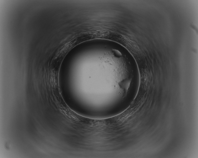 X0000095691058200801081243