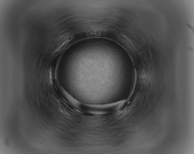 X0000095691060200801081243