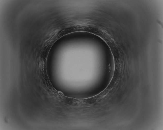 X0000095691061200801081243