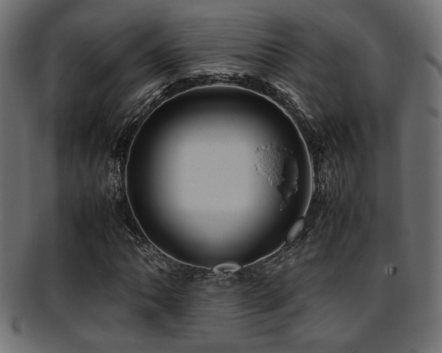 X0000095691062200801081243