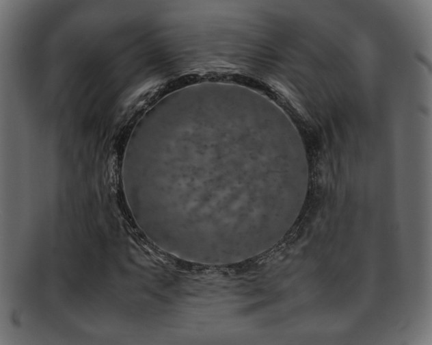 X0000095691063200801081243
