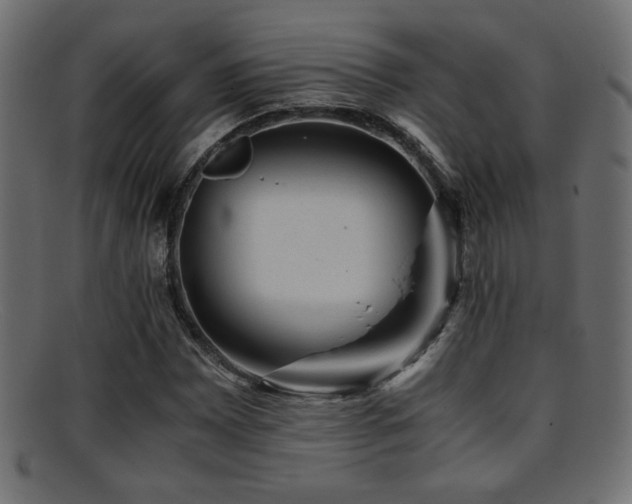 X0000095691065200801081243