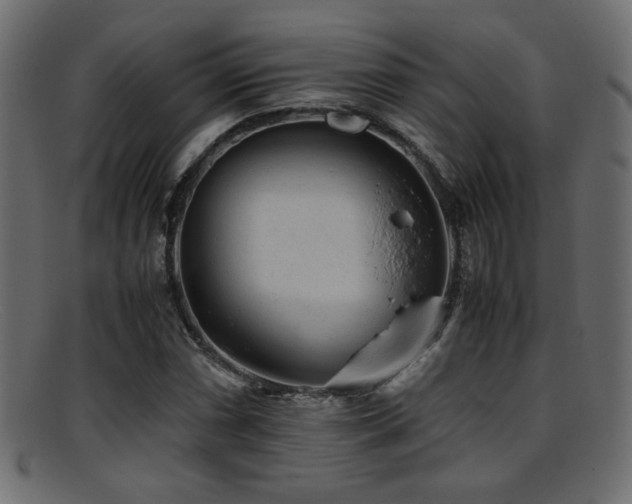 X0000095691066200801081243