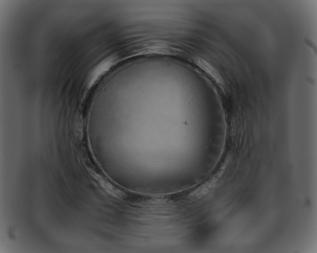 X0000095691067200801081243