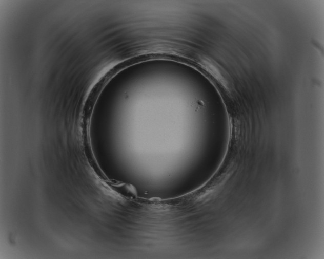 X0000095691068200801081243