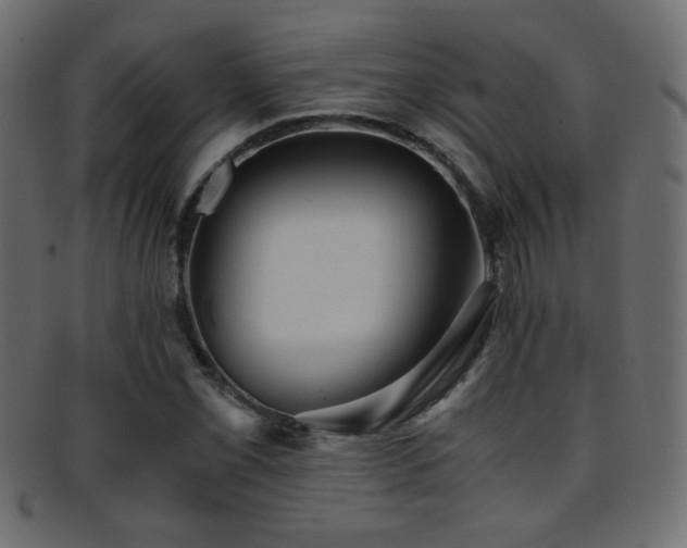 X0000095691069200801081243