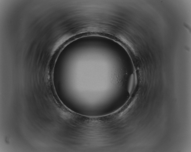 X0000095691070200801081243