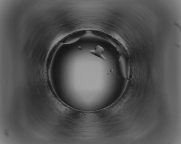 X0000095691072200801081243