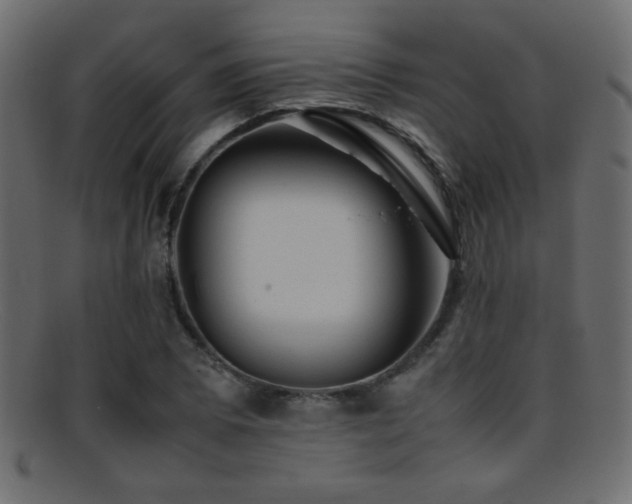 X0000095691073200801081243