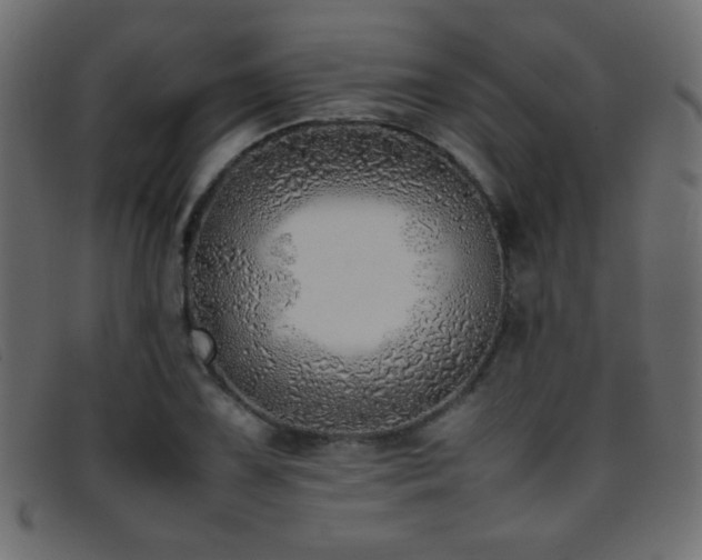 X0000095691075200801081243
