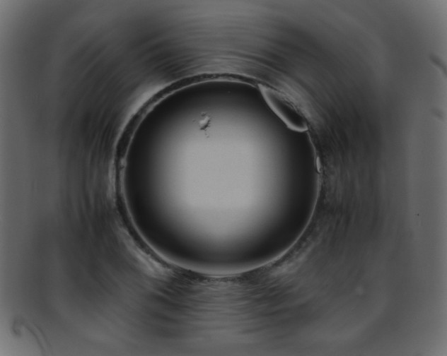 X0000095691076200801081243