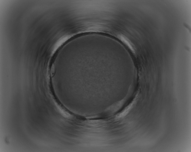 X0000095691077200801081243