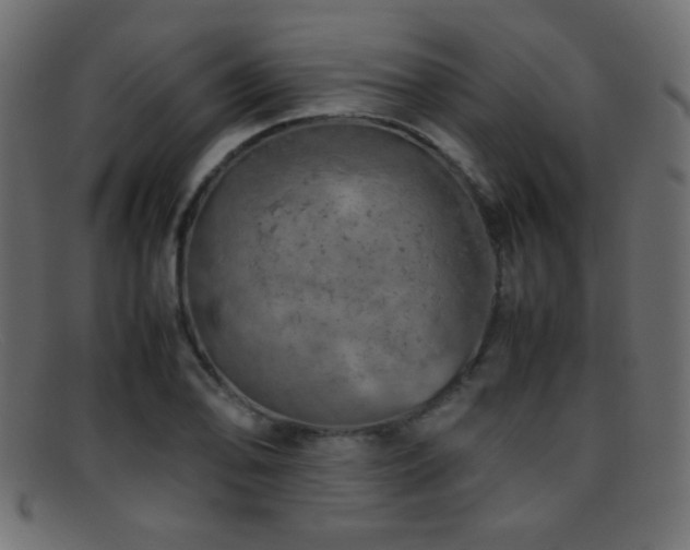 X0000095691078200801081243