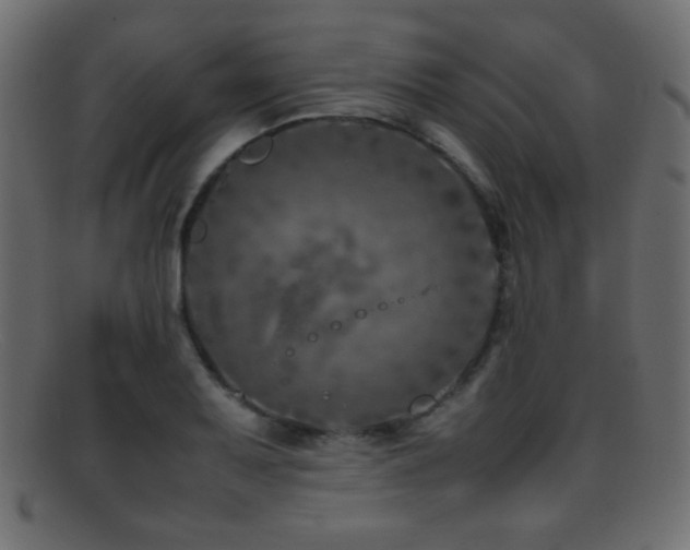 X0000095691079200801081243