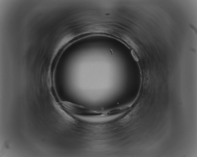 X0000095691080200801081243