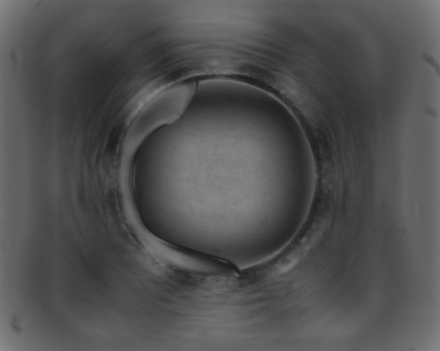 X0000095691081200801081243