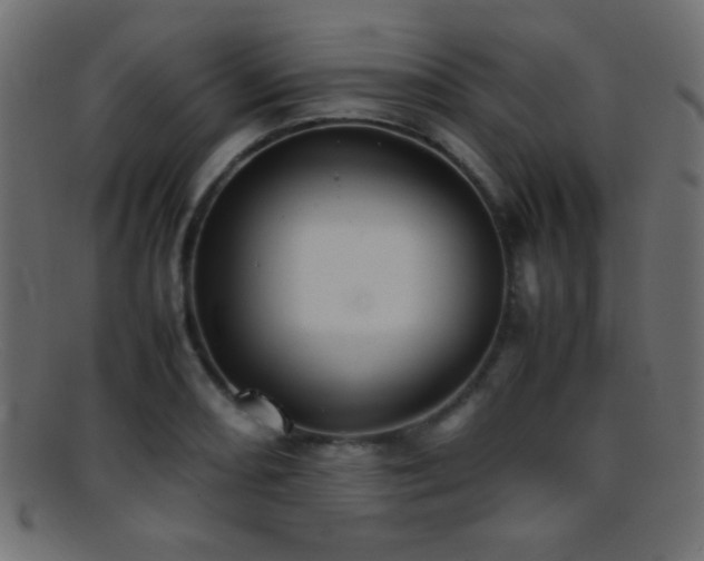 X0000095691082200801081243