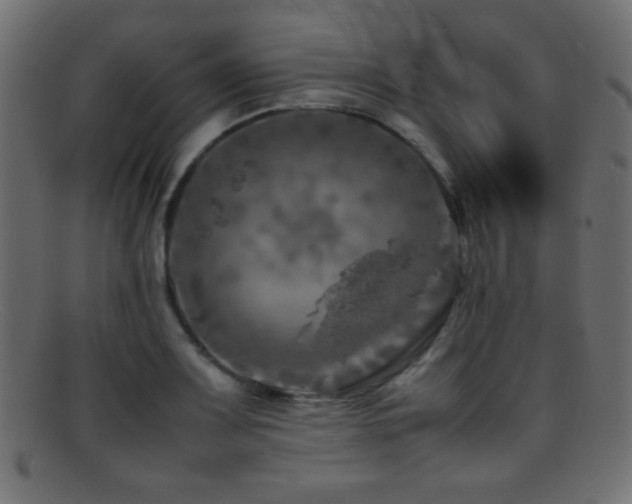 X0000095691083200801081243