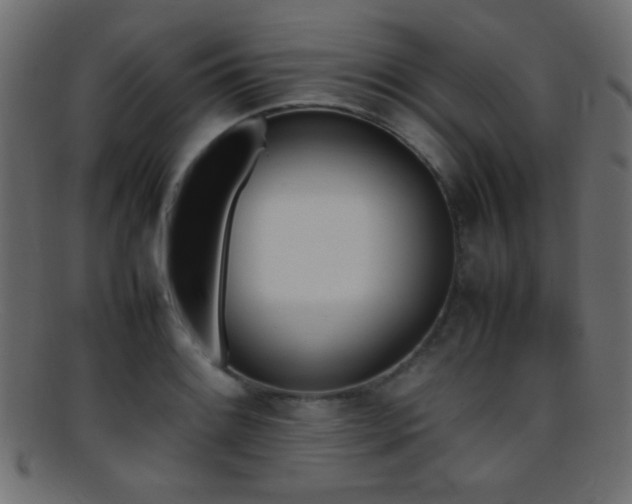 X0000095691084200801081243