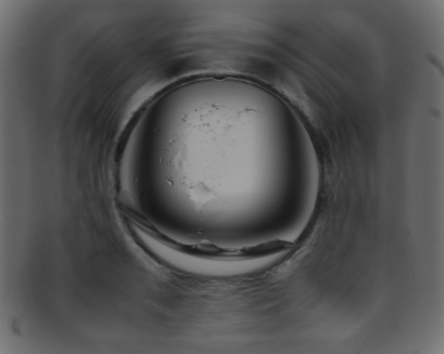 X0000095691085200801081243