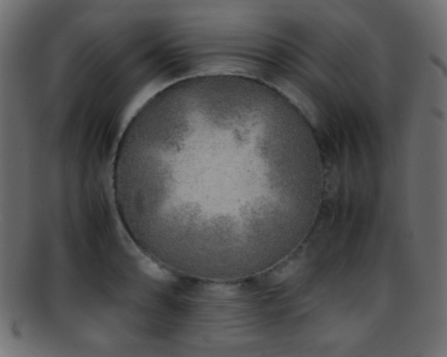 X0000095691086200801081243
