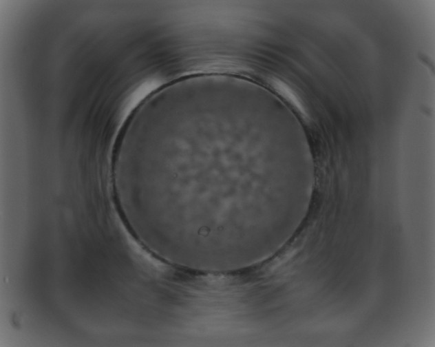 X0000095691087200801081243