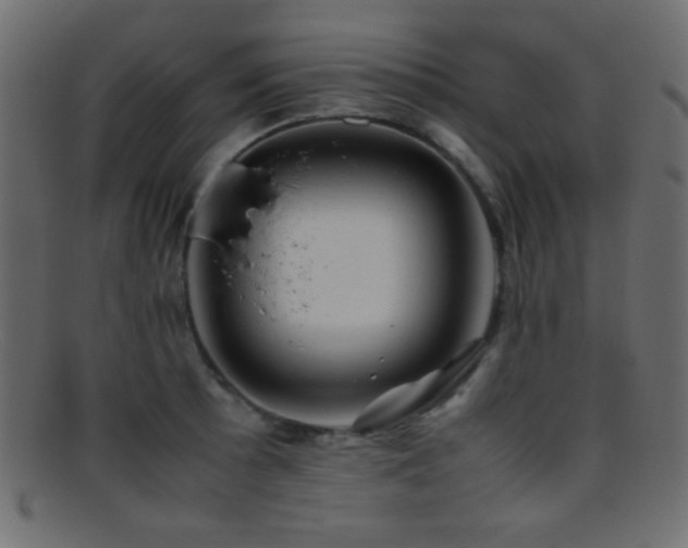 X0000095691089200801081243