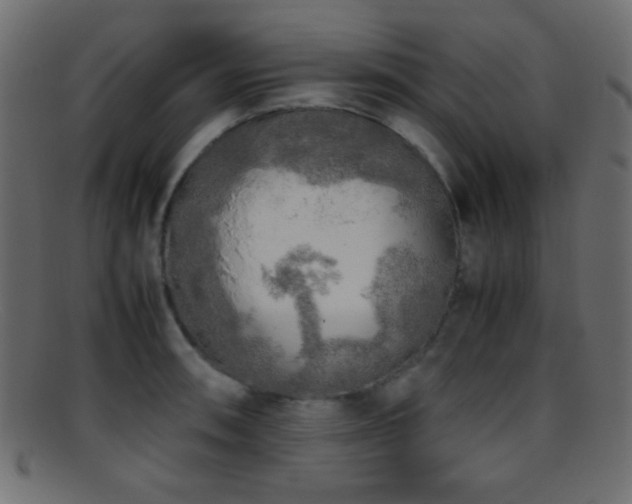 X0000095691090200801081243
