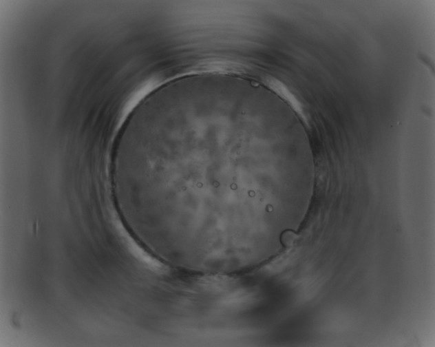 X0000095691091200801081243