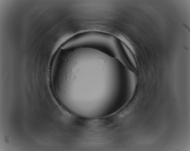 X0000095691093200801081243