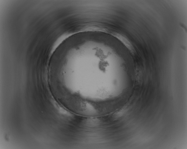 X0000095691094200801081243