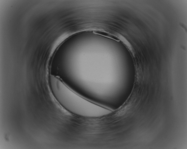 X0000095691096200801081243