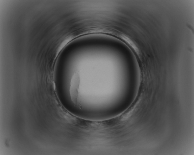 X0000095691097200801081243