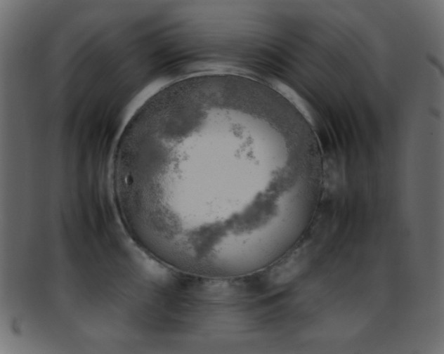 X0000095691098200801081243