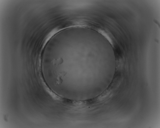 X0000095691099200801081243