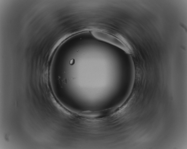 X0000095691100200801081243