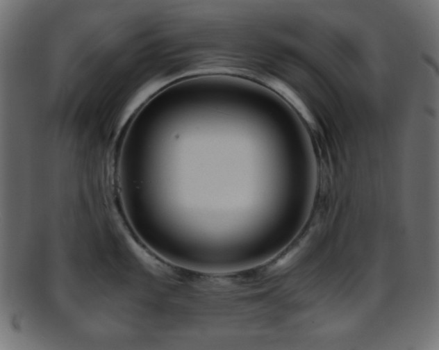 X0000095691101200801081243