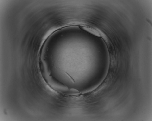 X0000095691102200801081243